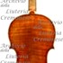 1734ViolinoPrinceDoria c.jpg 1734ViolinoPrinceDoria c.jpg