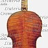 1735cViolinoPortman c.jpg 1735cViolinoPortman c.jpg