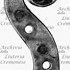 1736cViolinoCessol d.jpg 1736cViolinoCessol d.jpg