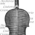 1736ViolinoWieniawski c.jpg 1736ViolinoWieniawski c.jpg