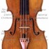 1738ViolinoAdam a1.jpg 1738ViolinoAdam a1.jpg