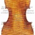 1738ViolinoAdam c1.jpg 1738ViolinoAdam c1.jpg