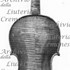 1739Violino c.jpg 1739Violino c.jpg