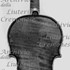 1740cViolino c.jpg 1740cViolino c.jpg