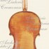 1743ViolinoCarrodus c.jpg 1743ViolinoCarrodus c.jpg