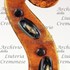 1743ViolinoSauret d.jpg 1743ViolinoSauret d.jpg
