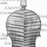 1747-89Violino13 c.jpg 1747-89Violino13 c.jpg