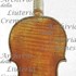 1747-89Violino5 c.jpg 1747-89Violino5 c.jpg