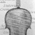 1748Violino c.jpg 1748Violino c.jpg