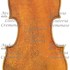 1750cViolino2 c.jpg 1750cViolino2 c.jpg