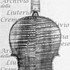 1750Violino2 c.jpg 1750Violino2 c.jpg