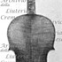 1750Violino c.jpg 1750Violino c.jpg