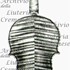 1755cViolino c.jpg 1755cViolino c.jpg