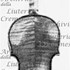 1757ViolinoLamoureux c.jpg 1757ViolinoLamoureux c.jpg