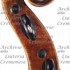 1760cViolino2 d.jpg 1760cViolino2 d.jpg