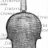 1763Violino4 c.jpg 1763Violino4 c.jpg