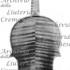 1765Violino c.jpg 1765Violino c.jpg