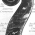 1767ViolinoSchrankell d.jpg 1767ViolinoSchrankell d.jpg