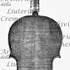 176xViolino c.jpg 176xViolino c.jpg