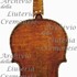 1770cViolino c.jpg 1770cViolino c.jpg