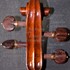 1771Violino2 d1.jpg 1771Violino2 d1.jpg