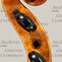 1772Violino4 d.jpg 1772Violino4 d.jpg