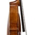 1773Viola b.jpg 1773Viola b.jpg