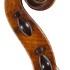 1773Viola d.jpg 1773Viola d.jpg