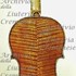 1778cViolino2 c.jpg 1778cViolino2 c.jpg