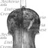 1778Violino2 c.jpg 1778Violino2 c.jpg