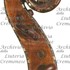 1780cViolino2 d.jpg 1780cViolino2 d.jpg