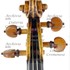 1780cViolino7 d1.jpg 1780cViolino7 d1.jpg
