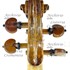 1780cViolino7 d2.jpg 1780cViolino7 d2.jpg