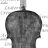 1782cViolino c.jpg 1782cViolino c.jpg