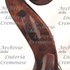 1782Violino d.jpg 1782Violino d.jpg