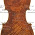 1784cViolino c1.jpg 1784cViolino c1.jpg
