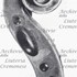 1790Violino5 d.jpg 1790Violino5 d.jpg