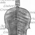 1795cViolino2 c.jpg 1795cViolino2 c.jpg