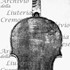 1795Viola c.jpg 1795Viola c.jpg