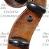 1800cViolino d.jpg 1800cViolino d.jpg