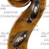 1809Violino d.jpg 1809Violino d.jpg