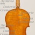 1843Viola c.jpg 1843Viola c.jpg