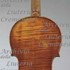 1843Violino c.jpg 1843Violino c.jpg