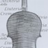 1847ViolinoMuseoMi c.jpg 1847ViolinoMuseoMi c.jpg