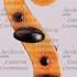 1856Violino2 d.jpg 1856Violino2 d.jpg