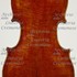 1880cViolino c.jpg 1880cViolino c.jpg
