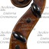 1880ViolinoBL d.jpg 1880ViolinoBL d.jpg