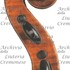 1888Violino d.jpg 1888Violino d.jpg