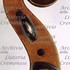 1890cViolino3 d.jpg 1890cViolino3 d.jpg