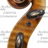 1890cViolino d.jpg 1890cViolino d.jpg